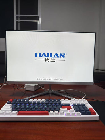 准新机 海兰一体机电脑 24英寸十二代G6900 DDR4 16G M.2 256GB 核显 办公游戏一体机电脑