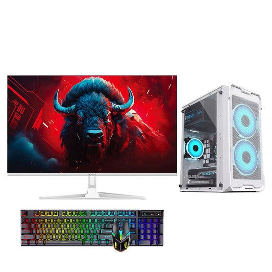 24英寸全套英特尔I3-13100F DDR4 16G M.2 256G+HDD 500GB 独显卡 抖音录播 电商办公电脑