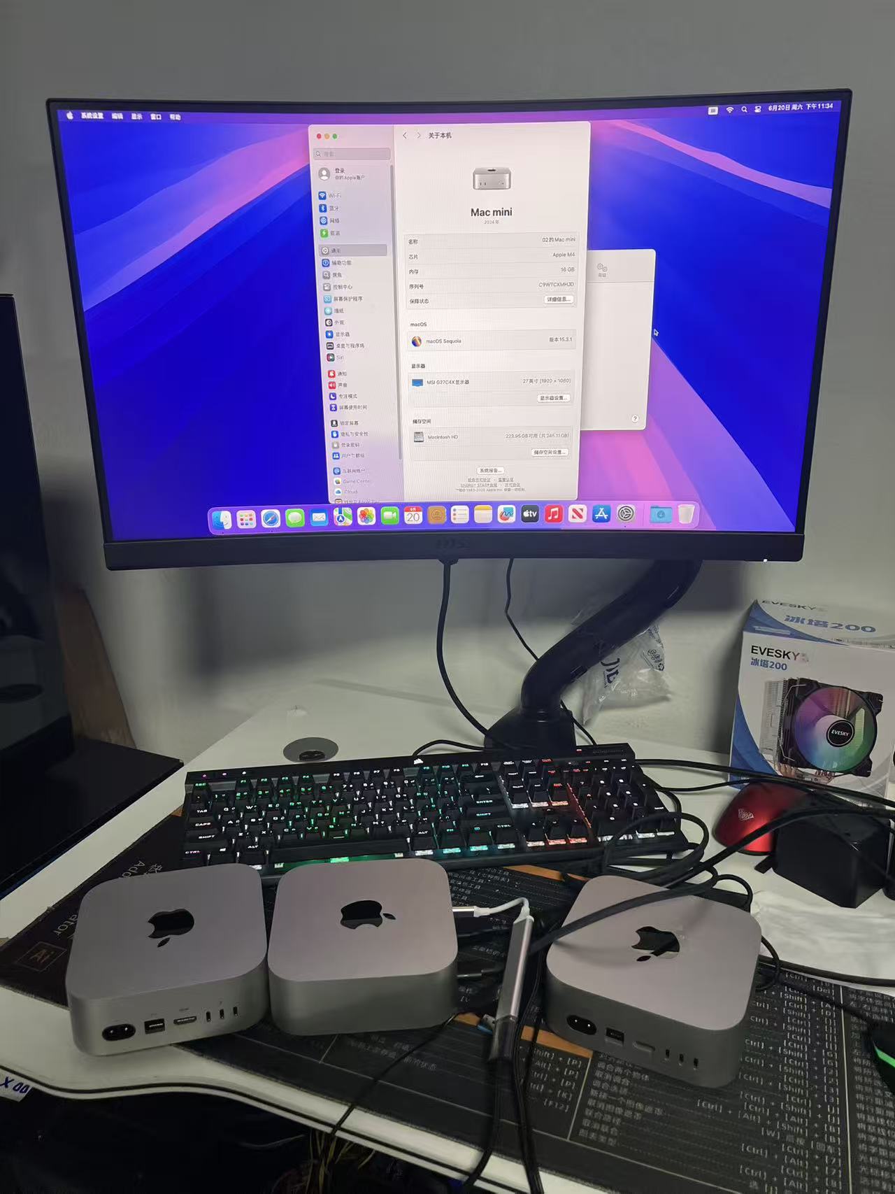 Apple Mac mini M4 2024 16GB 256GB 准新机｜苹果电脑主机｜办公设计AI学习｜泰国现货