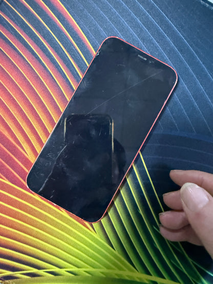 苹果12手机 iPhone 12红色 直播手机
